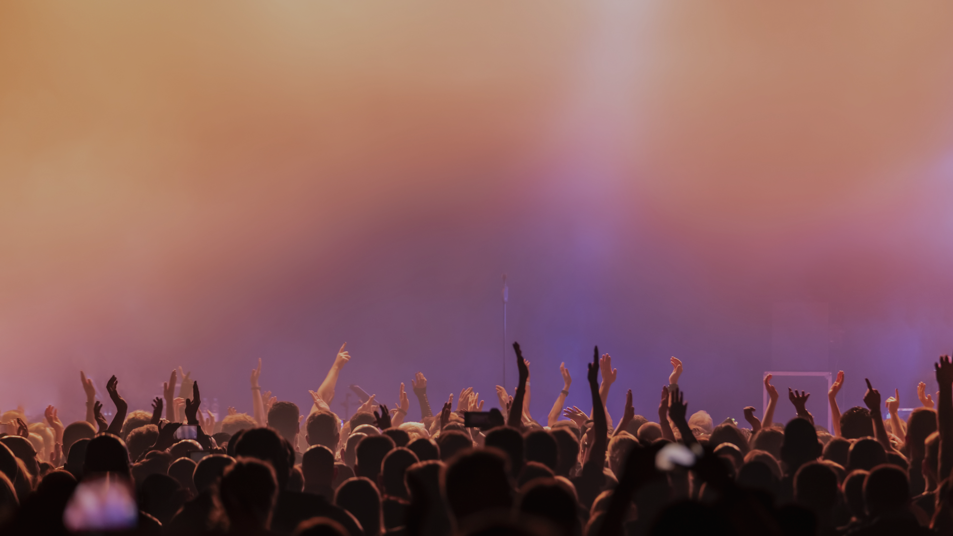Concert crowd